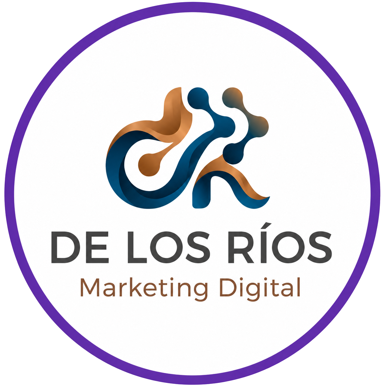 De Los Ríos Marketing Digital
