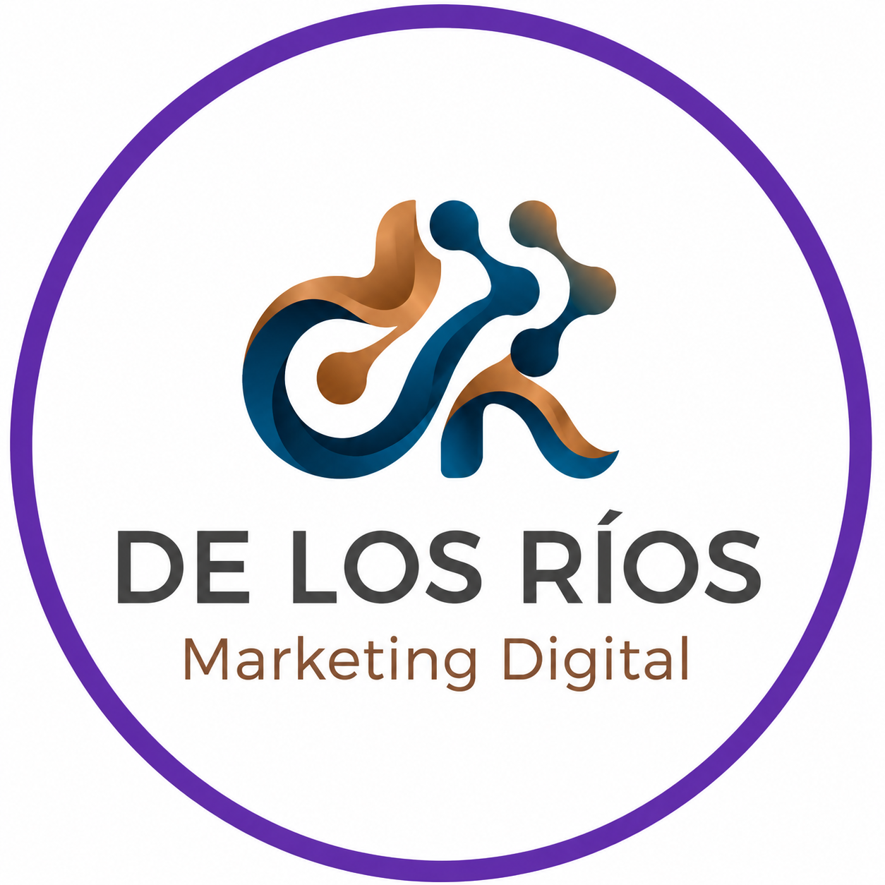 De Los Ríos Marketing Digital
